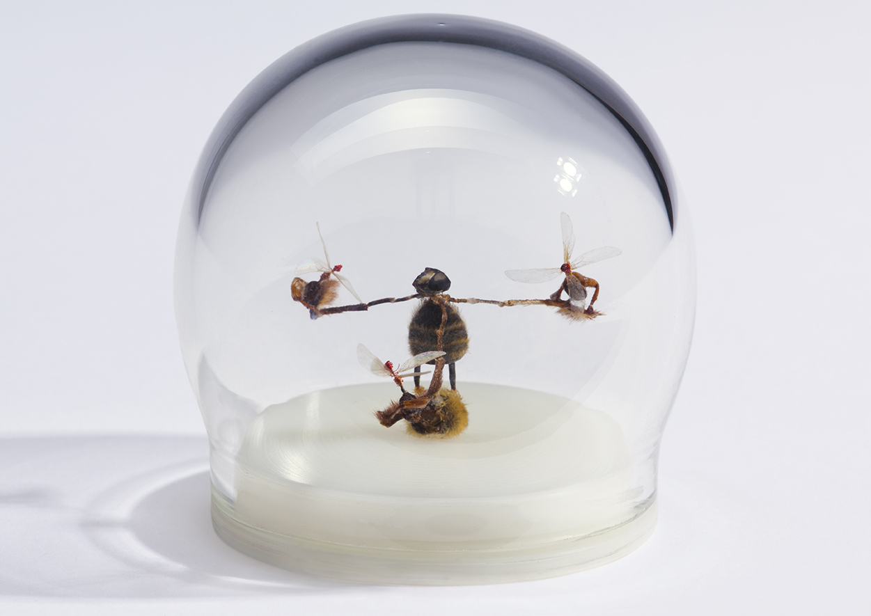 CYBUG0109